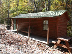 Cabin 6